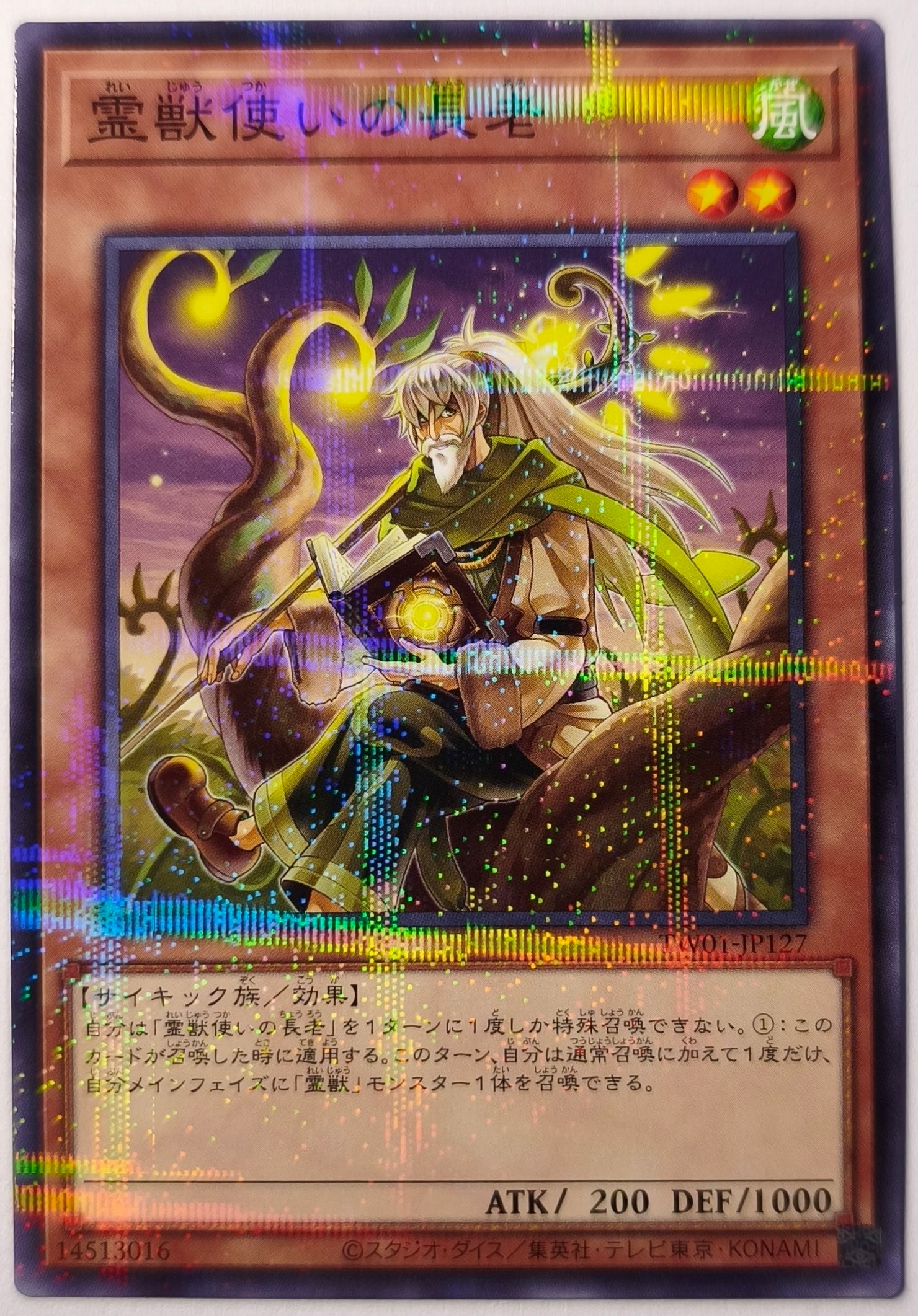 Elder, Dompteur Bête Spirituelle